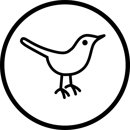 Hello Birdie